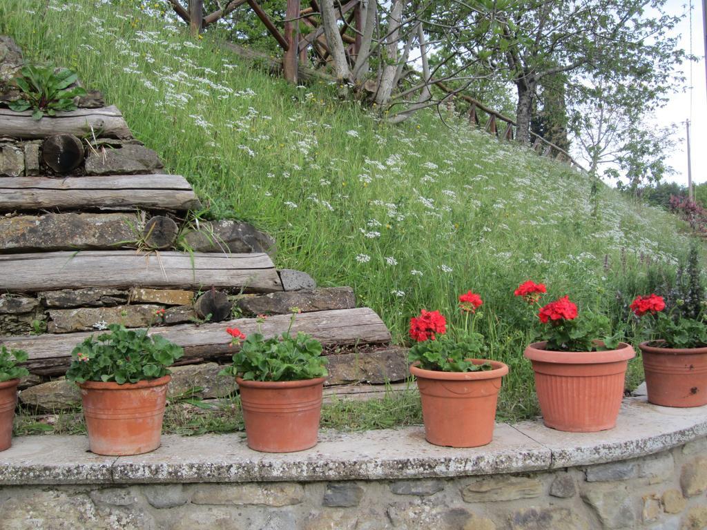 Bed And Breakfast Country Hill Ареццо Экстерьер фото