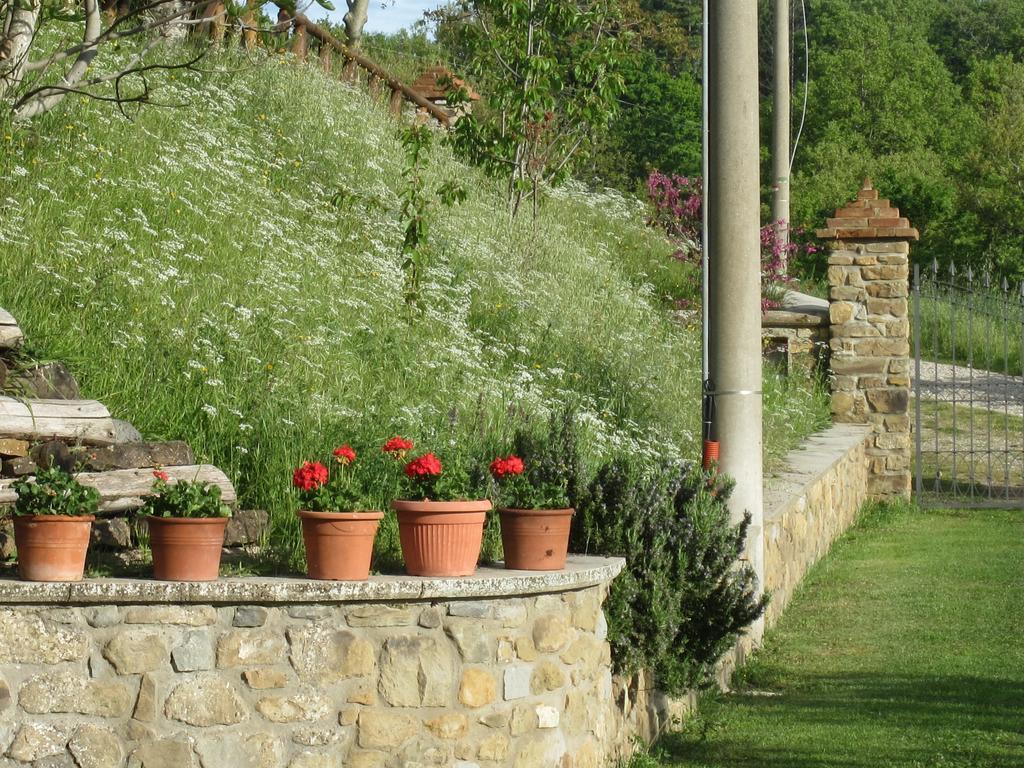 Bed And Breakfast Country Hill Ареццо Экстерьер фото