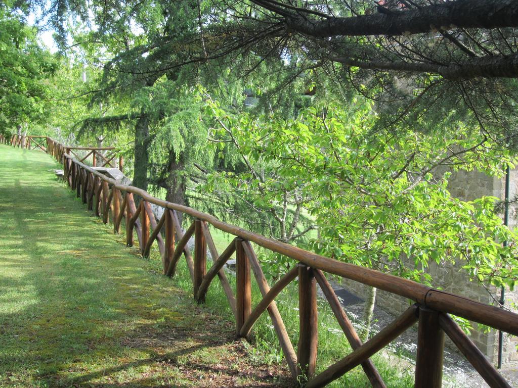 Bed And Breakfast Country Hill Ареццо Экстерьер фото
