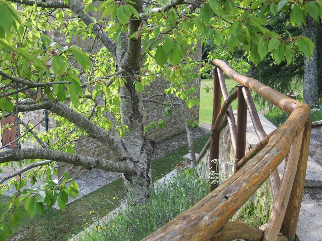 Bed And Breakfast Country Hill Ареццо Экстерьер фото